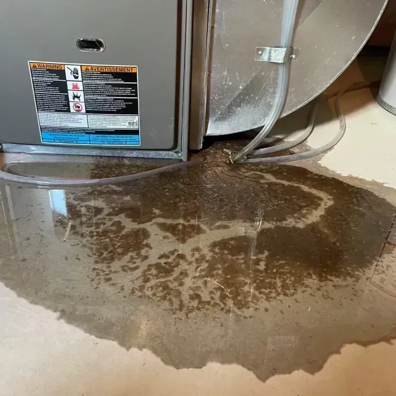 Appliance Leak Cleanup in West Pleasant View, CO